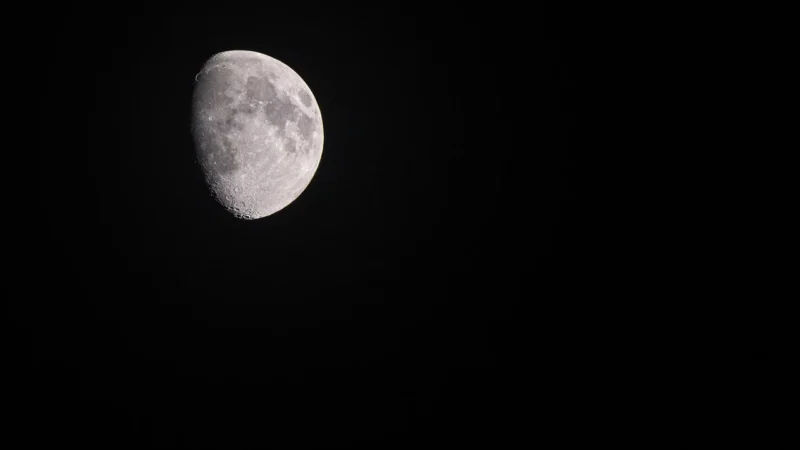 Argenta Devon Moon 20X50