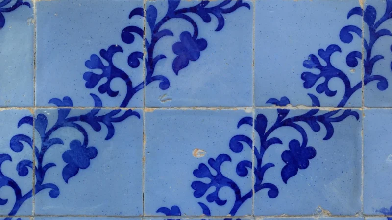 Argenta Marna Grana 20X50