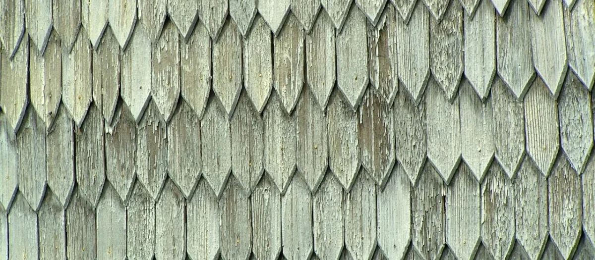 Argenta Soap Stone Mos Grey 30X60