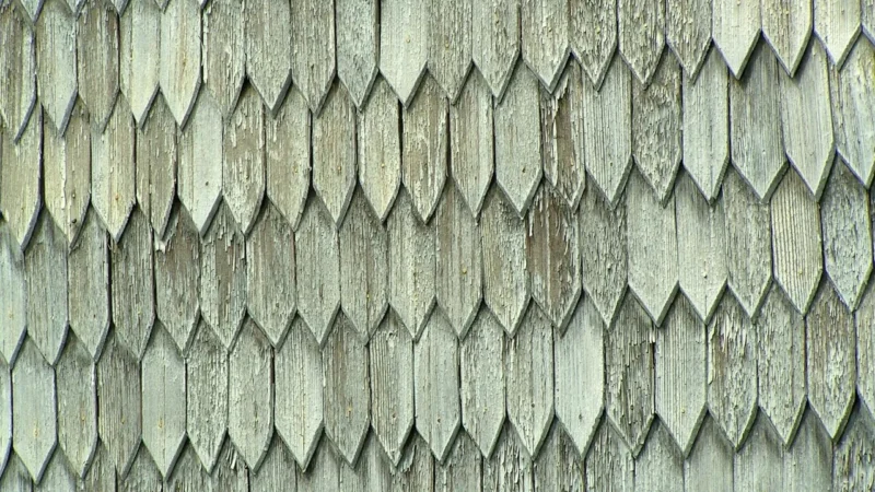 Argenta Soap Stone Mos Grey 30X60