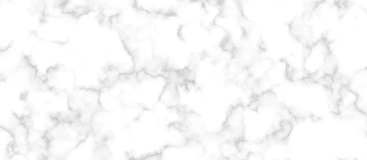 Argenta Toulouse White 25X50