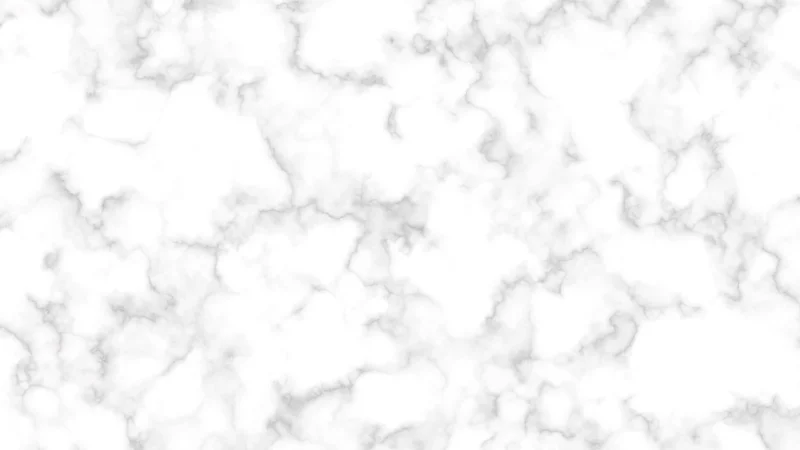 Argenta Toulouse White 25X50