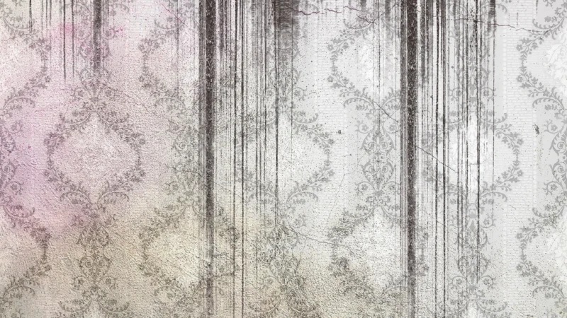 As Creation Hermitage 10 34143-3