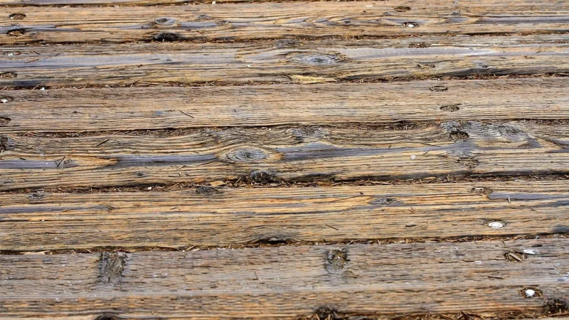 Baltic Wood No Limits Discovery 14,8×109 4Mv (wc-1akb2-s34-bc1)