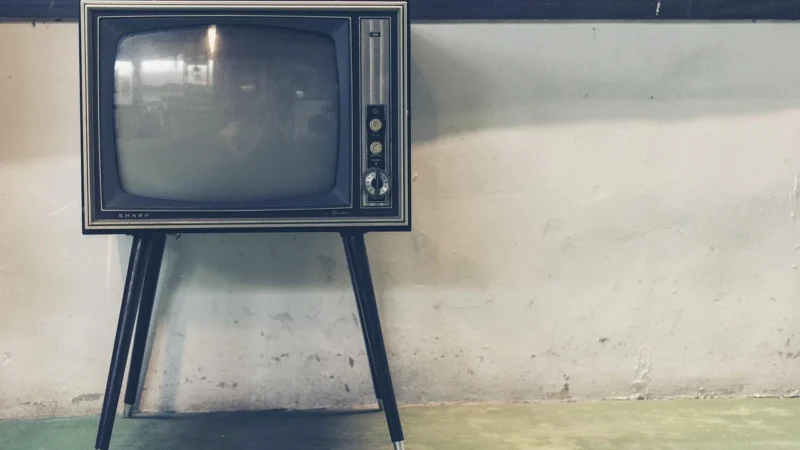 Elektro Plast Carla Gniazdo 2xTV typ F-F Biały 1787-10