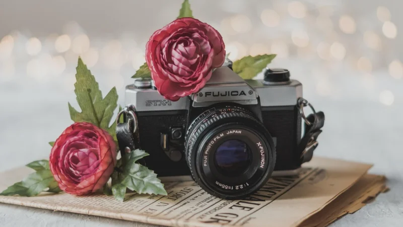 Galerie Tapeta W Ornament G45013 Vintage Roses