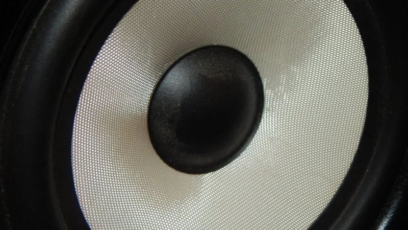 Magnat Interior IC 82