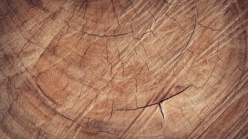 Opoczno Nordic Oak Ochra 22,1X89