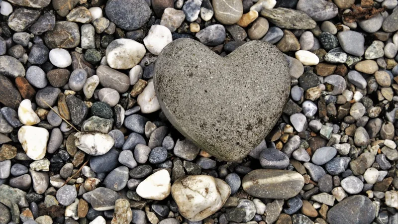 Opoczno Stone Grey 25X75