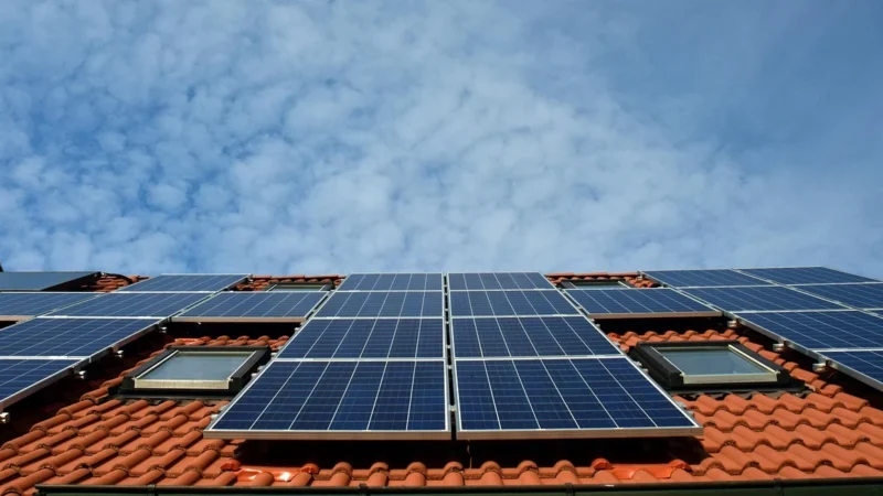 Palram Płyta poliwęglan komorowy transparentna 2×0,98 m 10 mm 1,96 m2