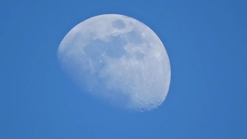 Paradyż Moonlight Bianco 29,5×59,5