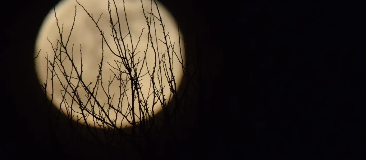 Paradyż Moonlight Bianco A 29,5×59,5