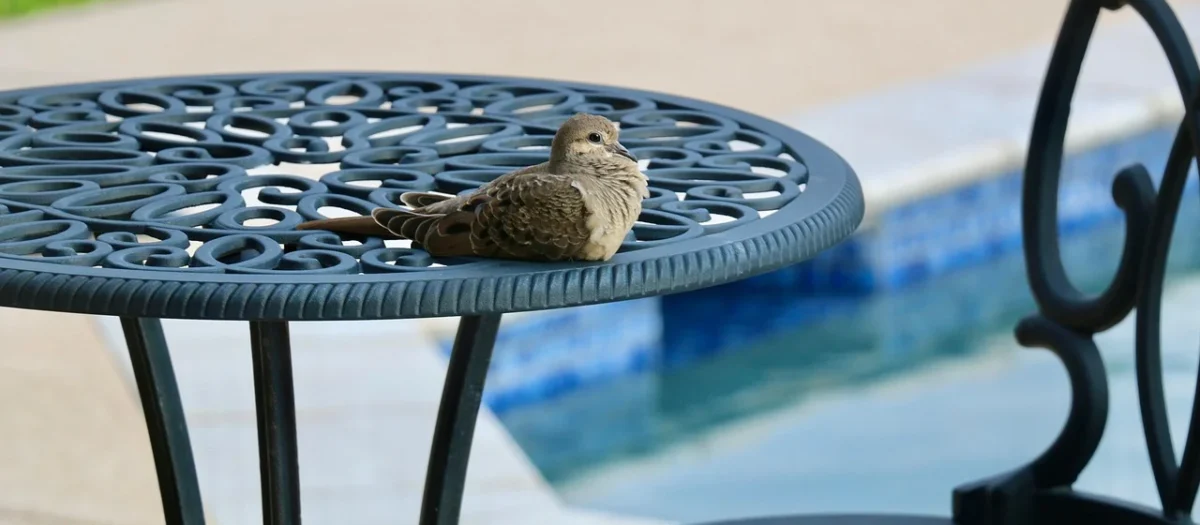 Patio Fotel Regulowany Z Podnóżkiem Malaga Plus