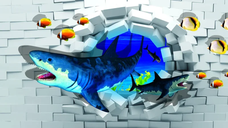 Peronda Shark B/L/R lap. 60,7X60,7