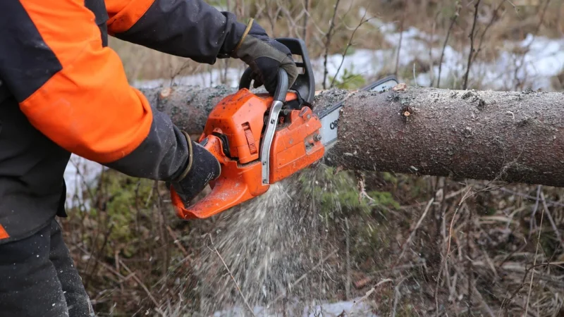 Piła Black&Decker Pilarka łańcuchowa (CS2040-QS)