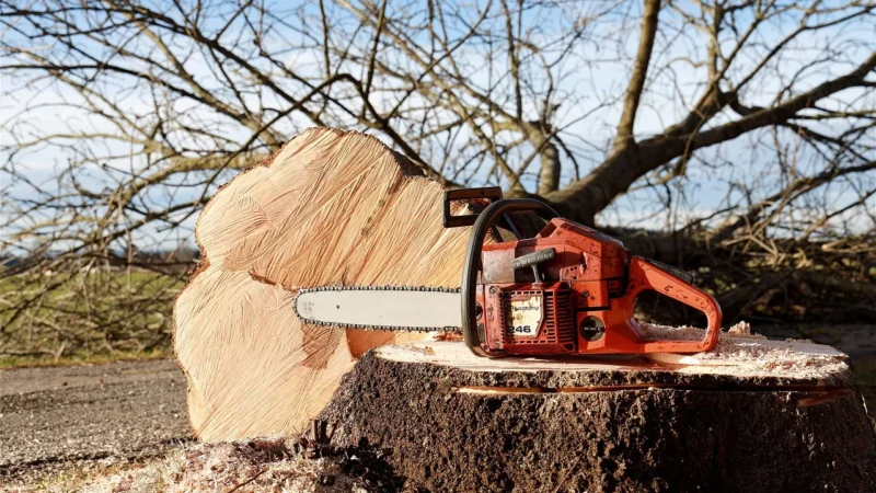 Piła Makita DUC254Z