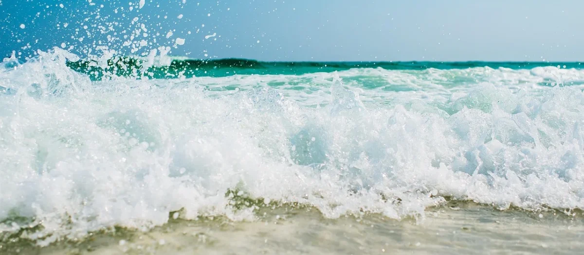 Polynor Piana Do Ociepleń