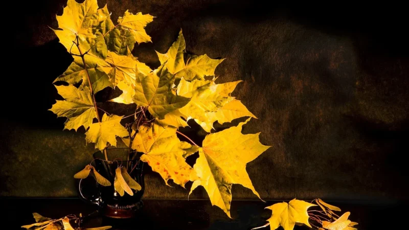 Porcelanosa Lexington Maple 45X120