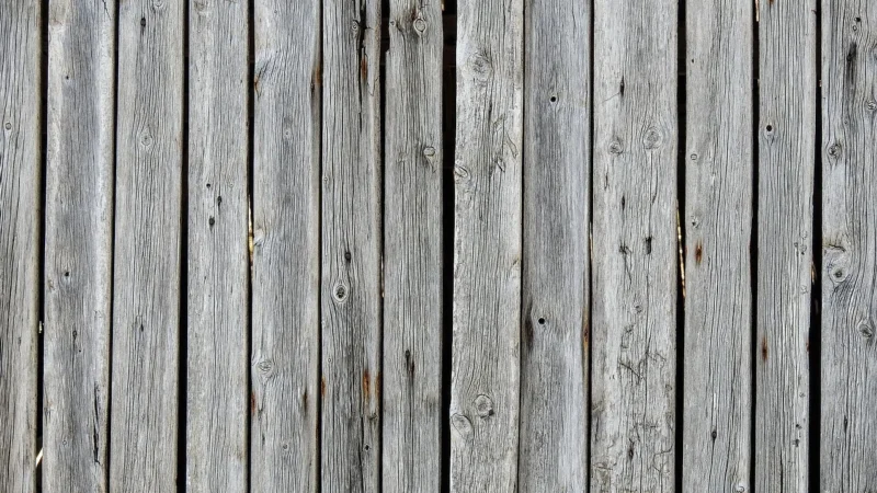 Rasch Trianon Xi 515091 0,53×105
