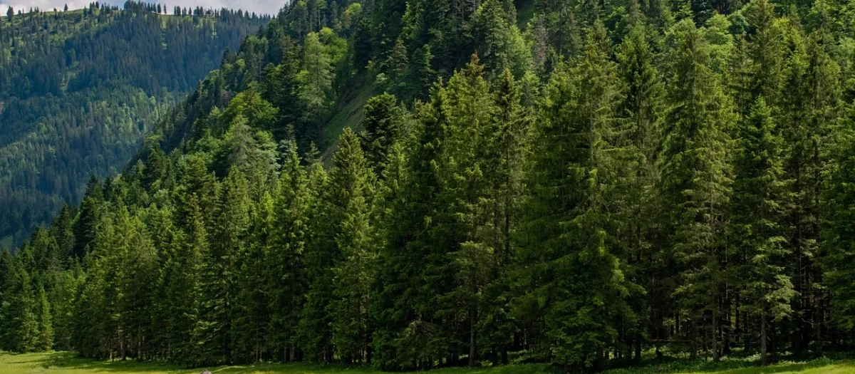 Rigips Płyta Gipsowo-Kartonowa Pro Hydro typ H2 GKBI 12,5mm 120x200cm