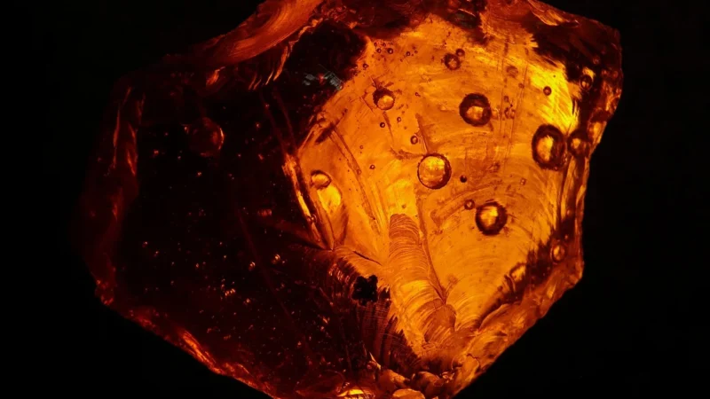Serenissima Genesis Fossil lap. 60×60