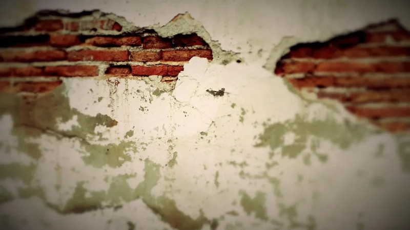 Śnieżka Barwy Natury 151 Kwiat Pustyni 5L