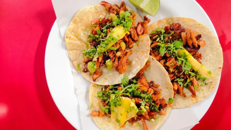 Vives Taco Lydd Gris 4×4