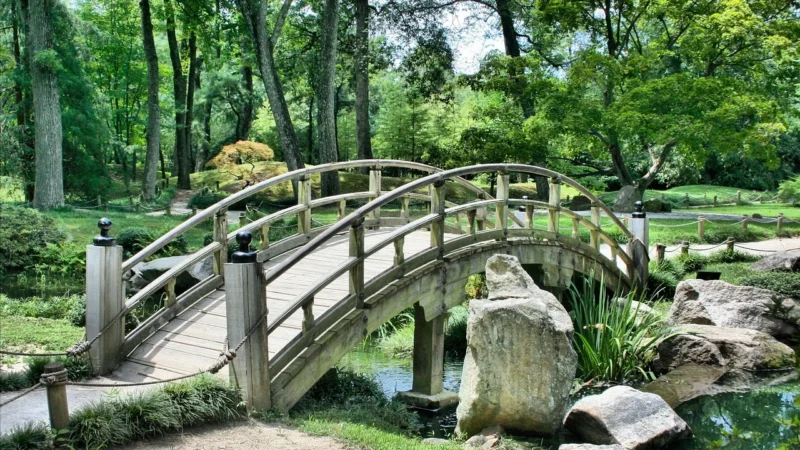 Wooder Wiata garażowa drewniana 304×500